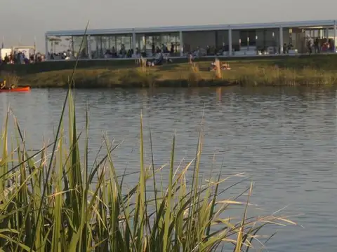 Araucarias - Puertos del Lago