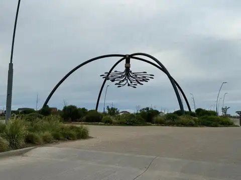 Araucarias - Puertos del Lago