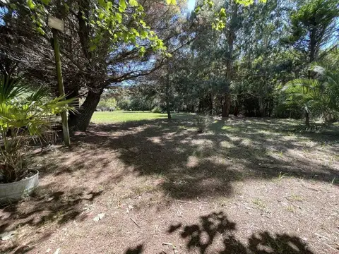 Local en Venta 30 años