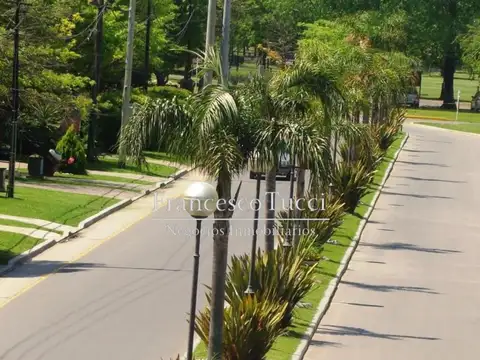 Almafuerte Lote / N° 3901