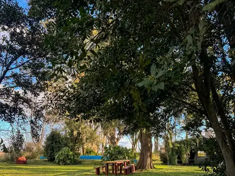 San Martin  y Dorrego 500