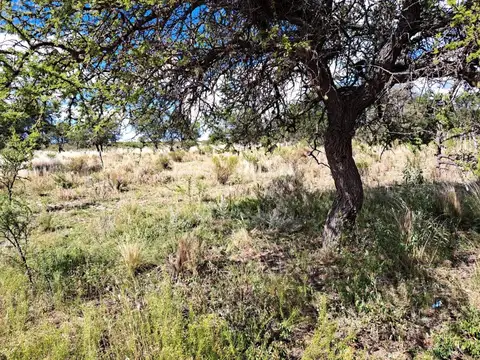 Terreno en Venta en San Lorenzo, USD 13.000