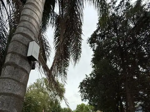 Casa en Alquiler con 4 cocheras