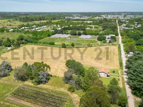 Hectáreas en venta en Arturo Seguí