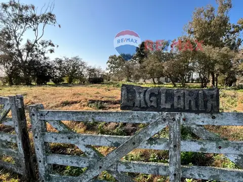 Ruta Provincial 11 KM 200