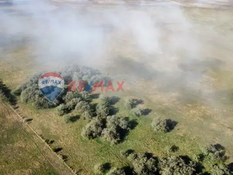 Ruta Provincial 11 KM 200