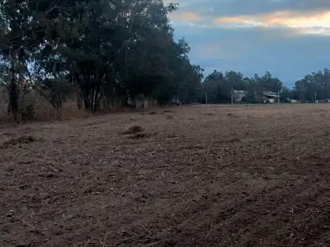 Chacra en Venta en Cerrillos