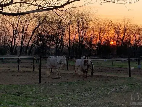 BARRIO ESTANCIAS de PILAR - CASA 4 DORMITORIOS en SUITE - GOLF - HIPICO - COLEGIO - CLUB HOUSE