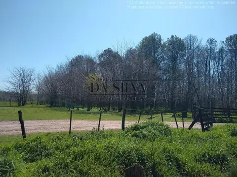 El Gaucho, Marcos Paz Rural