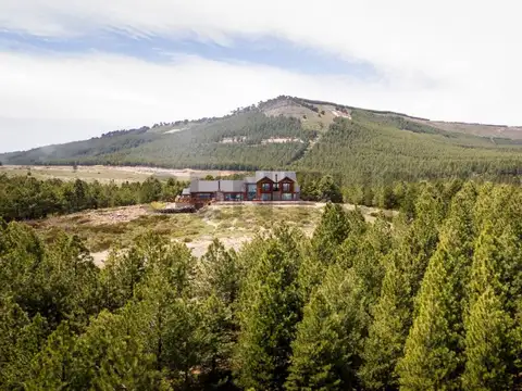 Venta lote Villa Pehuenia