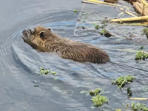 Terreno en Venta en El Canton, USD 140.000