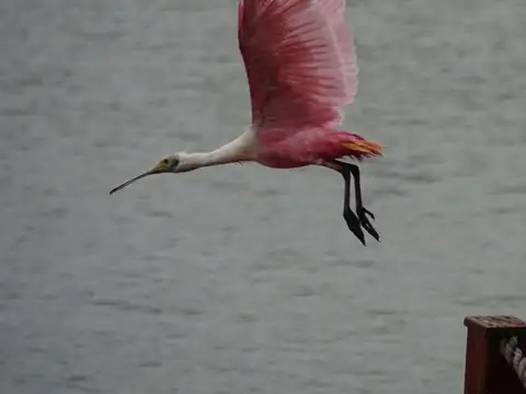 Terreno en Venta de 946,0 m2