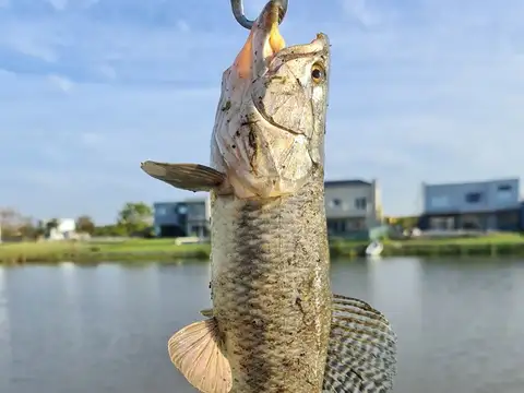 Terreno Lote a la laguna en Venta en El Cantón, Escobar, G.B.A. Zona Norte