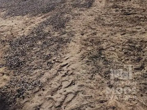 Terreno en Venta de 300,0 m2