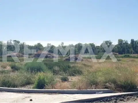 Prima Terra - MZA 76 - Lote 100