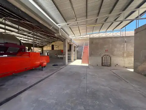 Ejército Libertador 300