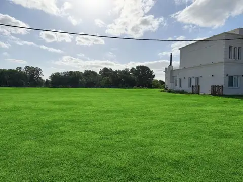 Mariano Castex 10000