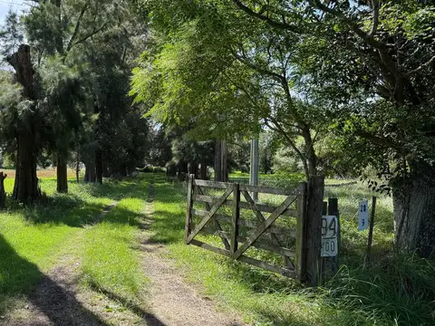 Campo de 13ha en venta en San Andres de Giles excelente ubicacion