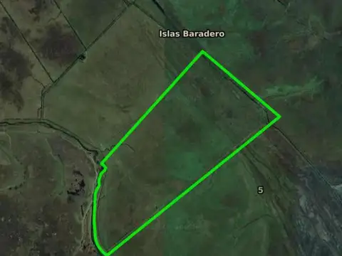 Campo en venta - 307 Hectáreas - Baradero