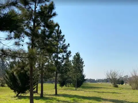 Terreno en Venta de 1004,0 m2