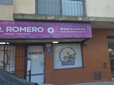 Departamento en Alquiler al Sur