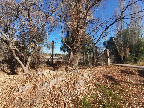 Terreno en Venta de 17700,0 m2