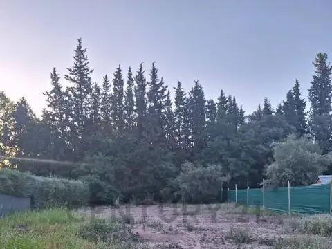 Terreno en Venta en Cruz de Piedra, USD 40.000