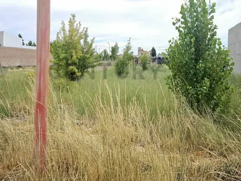 Oficina en Venta en General Fernandez Oro, USD 15.000