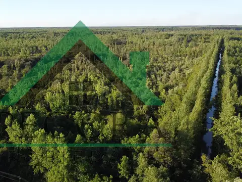 Rio Panara al 72000 - Belen de Escobar