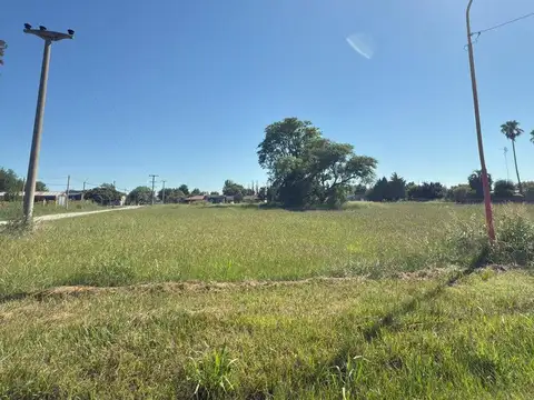 VENTA DE LOTE N° 10 EN NUEVO TORINO