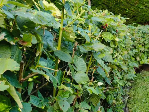 Depto Tipo Casa en Venta 33 años