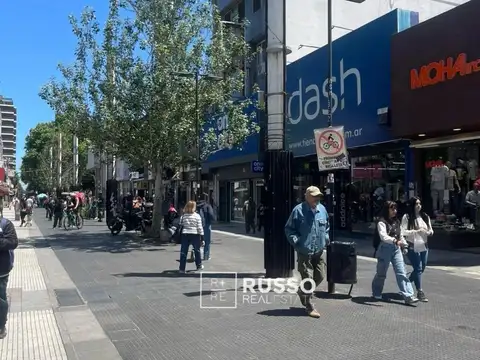 Peatonal Belgrano al 3600