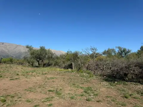 Terreno en Venta en Cruz De Caña, USD 18.000