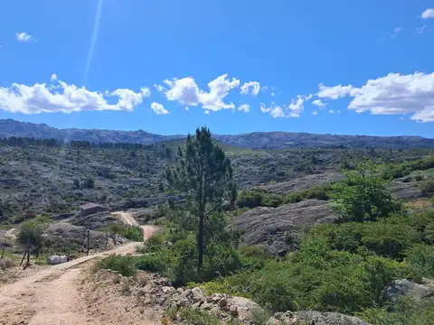 Terreno en Venta de 7111,0 m2