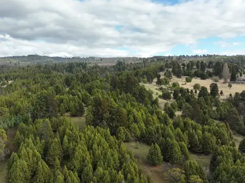 Campo en Venta Chacra