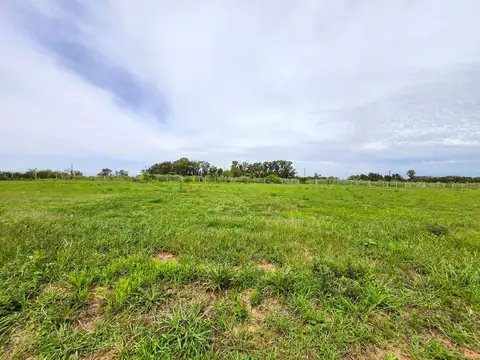 Terreno en Venta de 607,0 m2