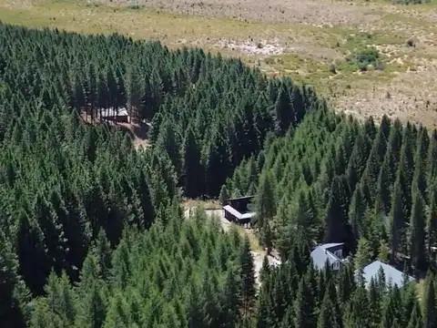 Terreno / Lote en venta de 867m2 ubicado en San Martin de los Andes