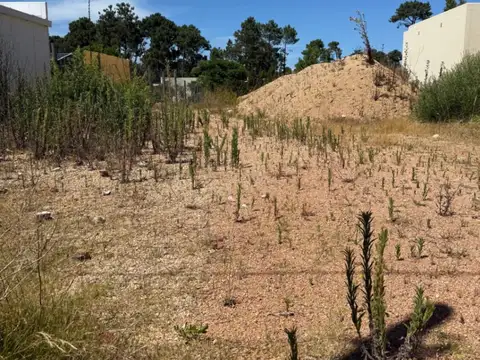 Terreno en venta de 500m2 ubicado en Burnett
