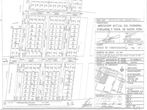 LOTE EN VENTA B° VILLA OLIVOS IV RODEO DE LA CRUZ
