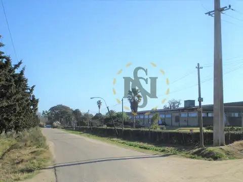 ALQUILER GALPON RUTA 8 , prox CANELONES