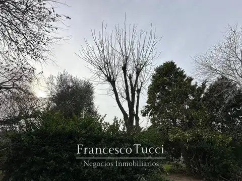 Terreno en Venta de 800,0 m2