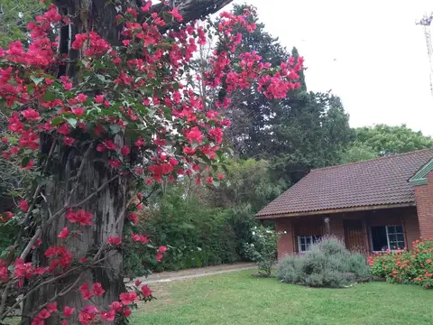 Av Dr Enrique Simón Pérez Al 5400 5400