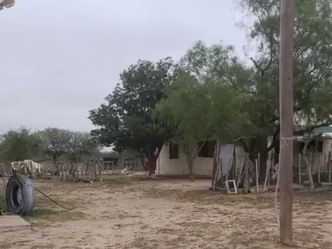 Terreno en venta - 220 Hectáreas - San Luis