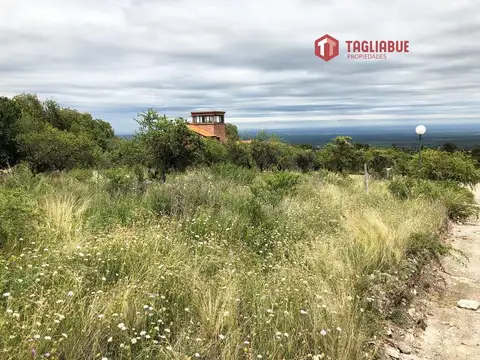 Terreno en Venta de 6181,0 m2