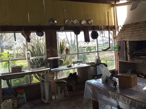 ruta 3 km 117  8 hectareas