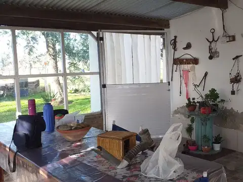 ruta 3 km 117  8 hectareas