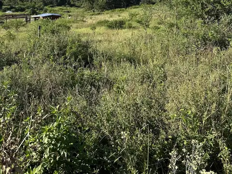 Terreno en Venta de 2295,0 m2