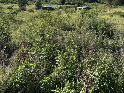 Ingreso al camino a la Quintana