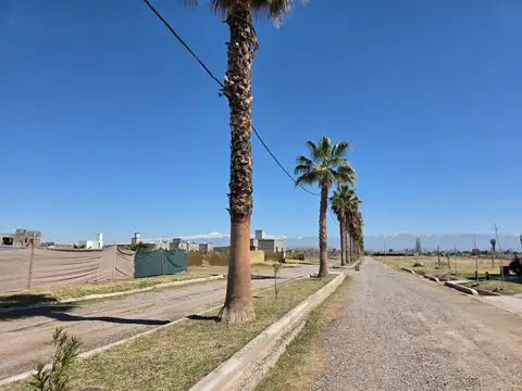 Severo del Castillo 3800