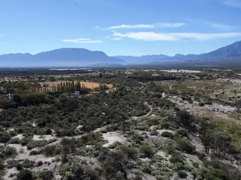 Campo de 77 has En Venta